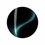 Shills Professional 9D Cat Eye Gel Polish - 312