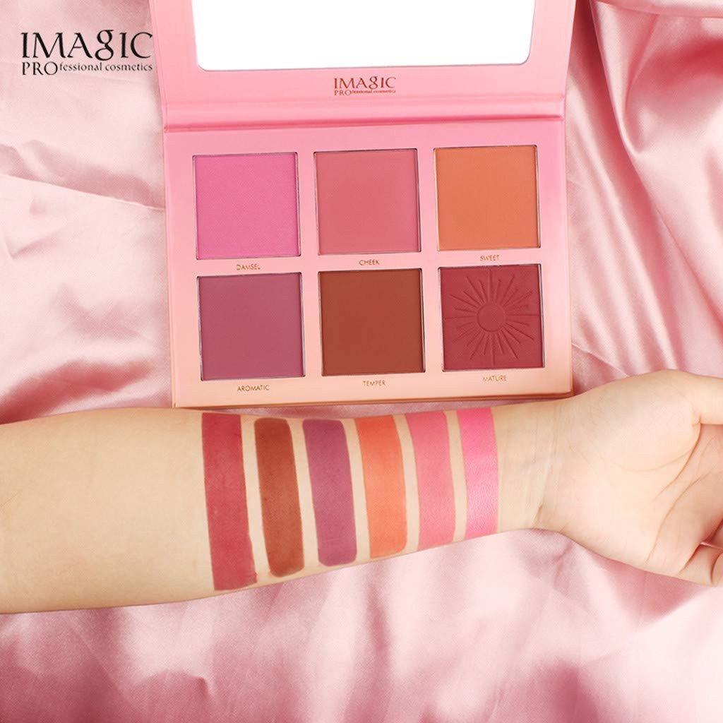 IMAGIC PROfessional Touch Blush Palette