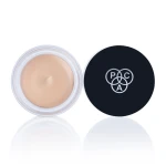 PAC Studio HD Concealer - Pinewood
