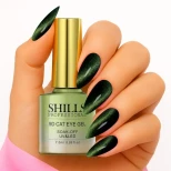 Shills Professional 9D Cat Eye Gel Polish - 309