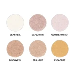 Shills Exclusive Cheeks Butter Highlighter Palette