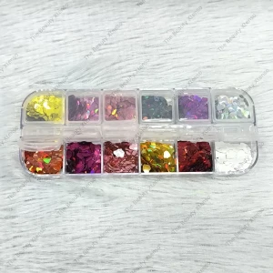 Nail Art Glitter Sequins 12 In 1 Kit