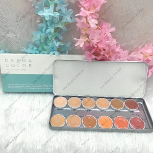 Kryolan Dermacolor Camouflage 12 Color Bridal Palatte