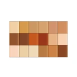 Shopaarel Concealer Palette 18 Shades