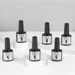 Shills Professional Cat Eye Gel Polish Kit