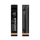 PAC Spotlight Liquid Concealer - Beige 06