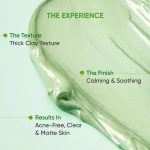 Dot & Key Pollution + Acne Defense Green Clay Mask