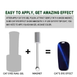 Nails Cat Eye Magnet
