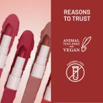 Swiss Beauty Stay All Day Lipstick - 05 Bossy